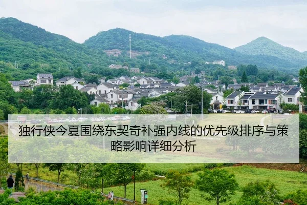 du-xing-xia-jin-xia-wei-rao-dong-qi-qi-bu-qiang-nei-xian-de-you-xian-ji-pai-xu-yu-ce-lve-ying-xiang-xiang-xi-fen-xi-1-511.jpg